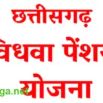 vidhwa pension yojana cg form pdf