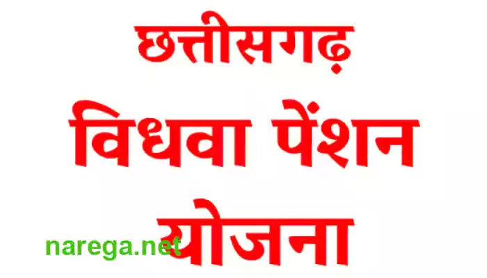 vidhwa pension yojana cg form pdf