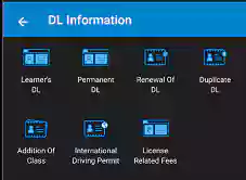 Driving Licence Information