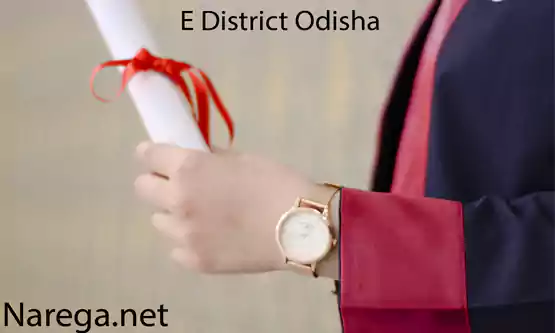 E District Odisha