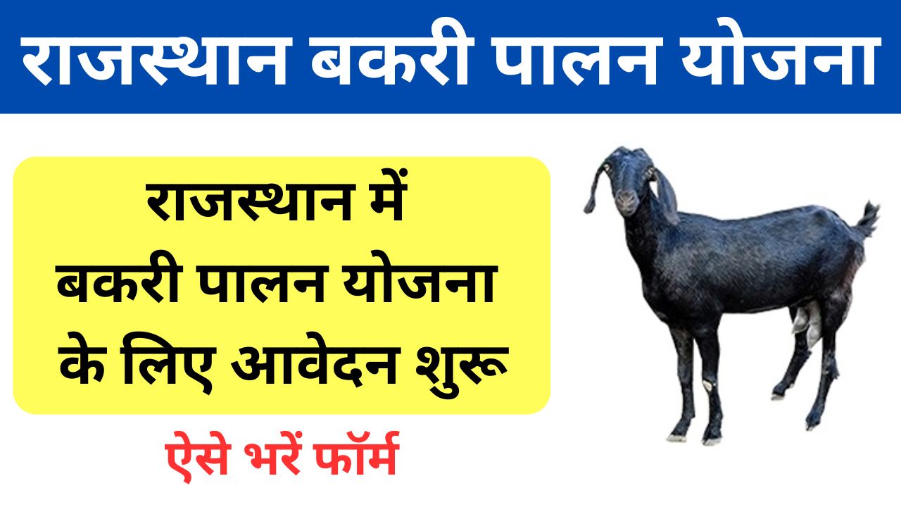 Rajasthan Bakri Palan loan Yojana